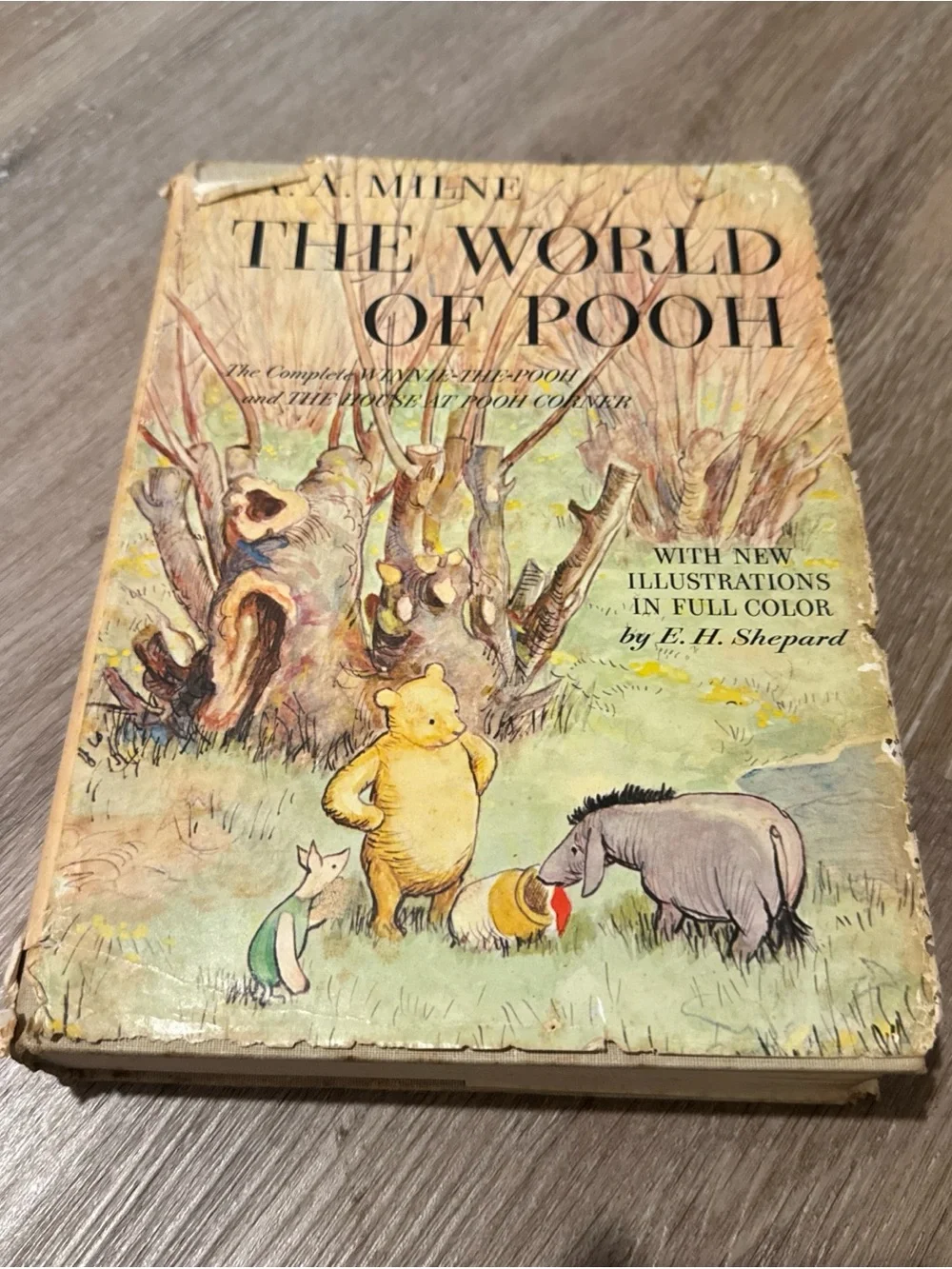 The World of Pooh A A Milne 1957 Illustrated Book, Hardcover With Dust Jacket